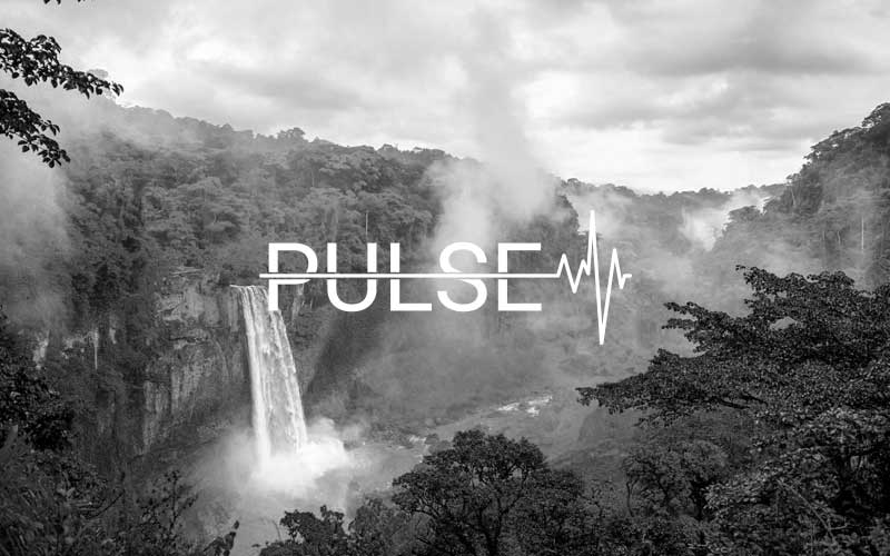 Pulse Imagen Logo | Proyecto Comonline Especialistas Ecommerce